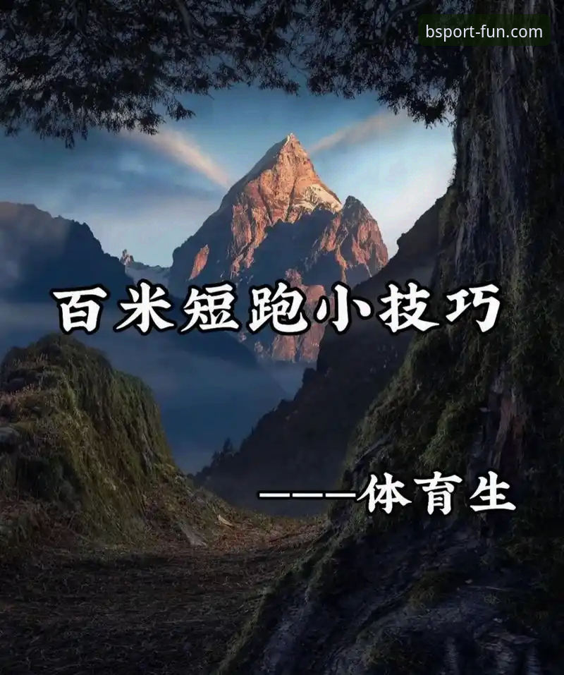 B体育平台官网账号注册与使用技巧深度评测：老用户手把手教你玩转2025最新体育App